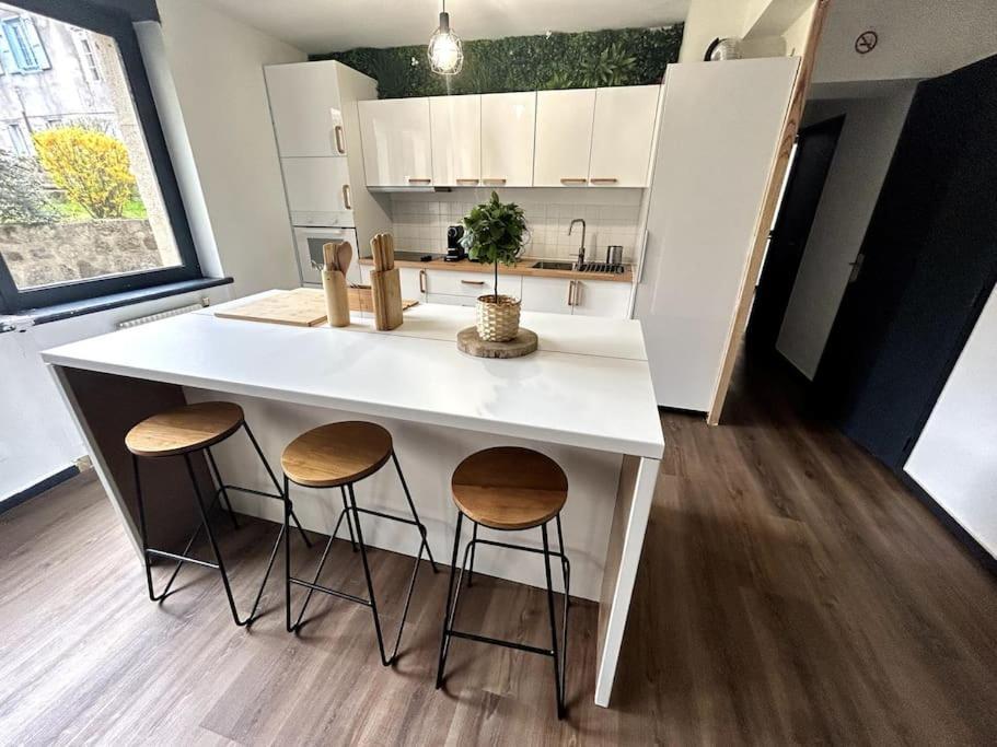 Le Puy En Velay - Appartement Grand Confort Bagian luar foto