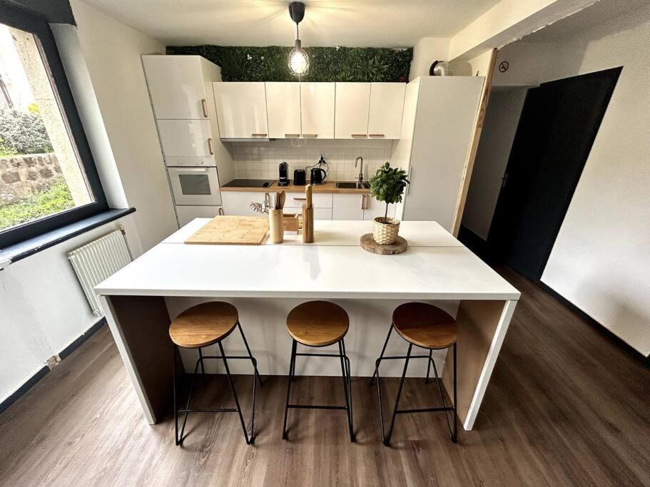 Le Puy En Velay - Appartement Grand Confort Bagian luar foto
