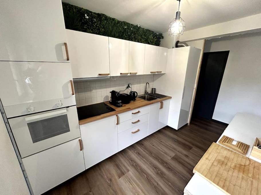 Le Puy En Velay - Appartement Grand Confort Bagian luar foto