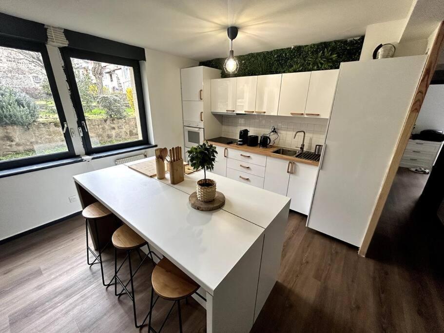 Le Puy En Velay - Appartement Grand Confort Bagian luar foto